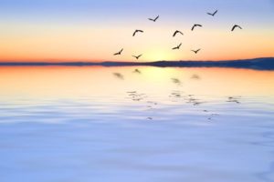 anxiety counselling Melbourne