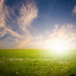 long term psychotherapy